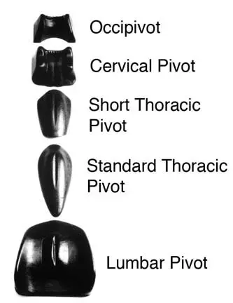 pivot therapy - mal de dos